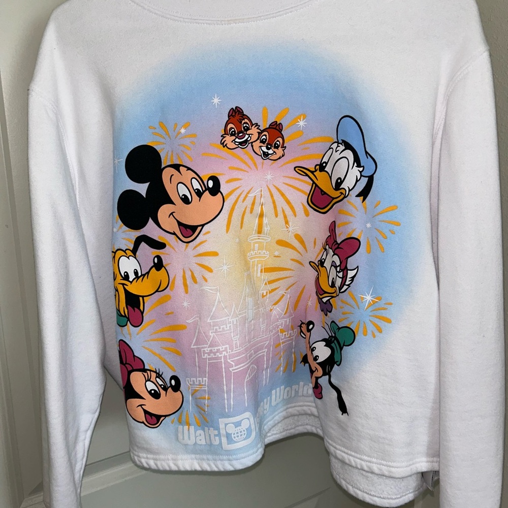 Walt Disney World sweatshirt